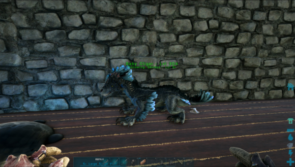 First rock drake on Valguero ^.^