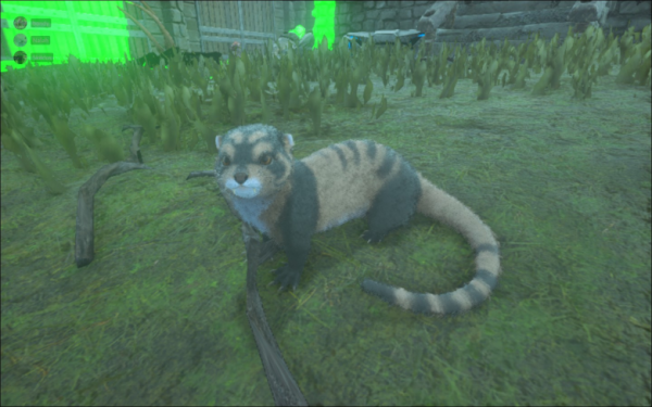 First X-Otter