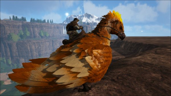 ark243.jpg