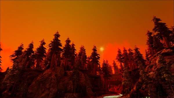 ark46.jpg
