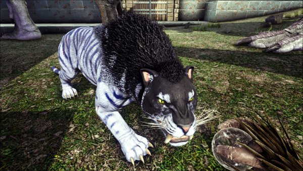 ark4634.jpg